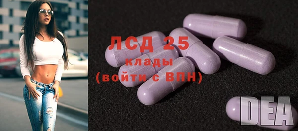 эйфоретик Сафоново