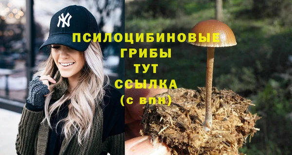 каннабис Сатка